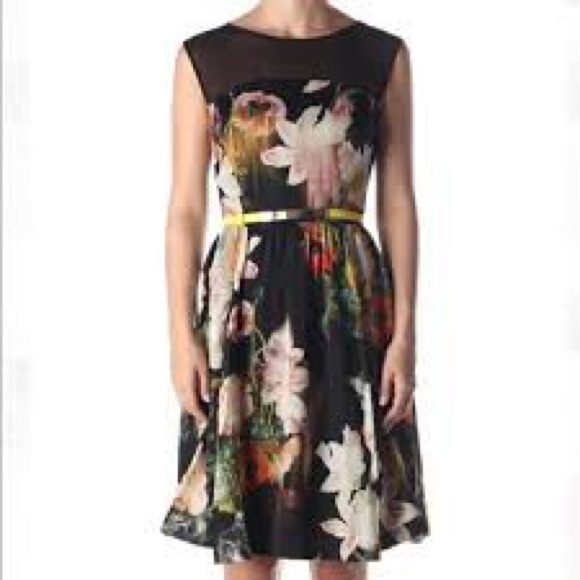 Ted Baker London CAMEELA Dress - Picture 2 of 5